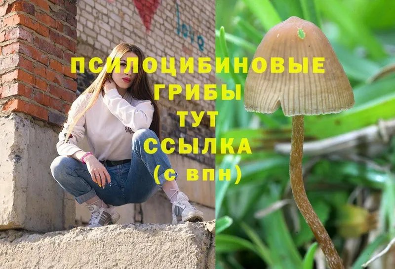 Псилоцибиновые грибы Magic Shrooms  Надым 